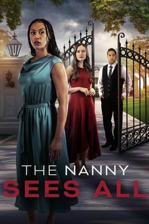 The Nanny Sees All (2025) HDRip Hindi (MULTI AUDIO) 720p - 480p - 1080p